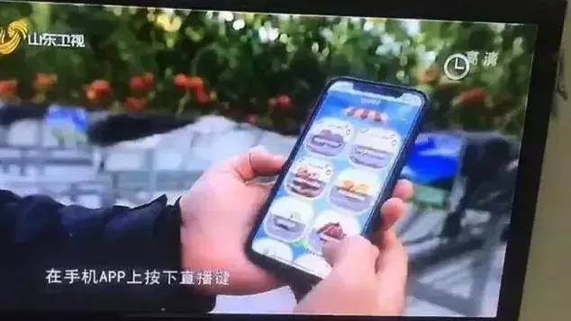 中国水运网 :一肖一码免费公开资料大全-1. 2018苹果手机单机游戏：最佳推荐游戏排行榜