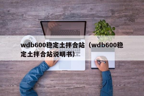 wdb600稳定土拌合站（wdb600稳定土拌合站说明书）  第1张