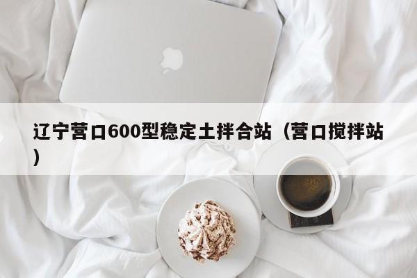 辽宁营口600型稳定土拌合站（营口搅拌站）