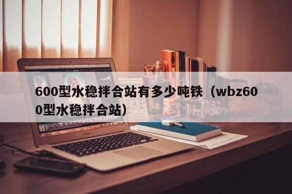 600型水稳拌合站有多少吨铁（wbz600型水稳拌合站）  第1张