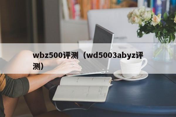 wbz500评测（wd5003abyz评测）