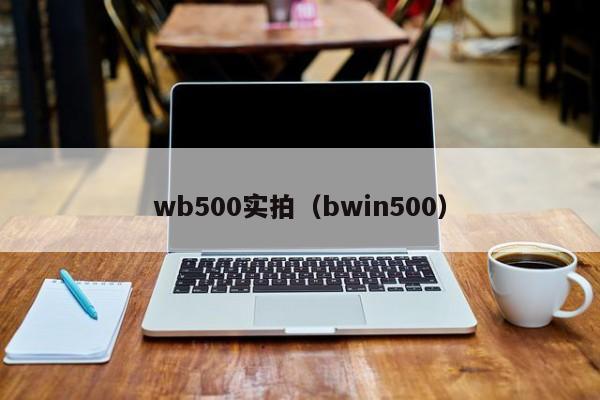 wb500实拍（bwin500）  第1张