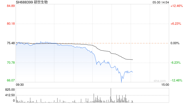 硕世生物快速跳水近7% 公司回应称没有未披露的利空消息