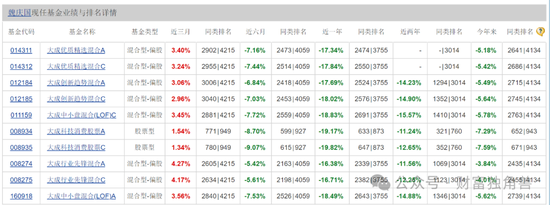 大成基金魏庆国陷入亏损泥潭，旗下4只基金相互抄作业，持有华友钴业遇暴跌  第3张