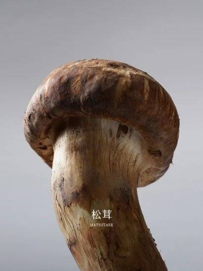 灵汐时代DTC案例 | 2年5个亿，稀物集“根植中国”的差异化升维战  第15张