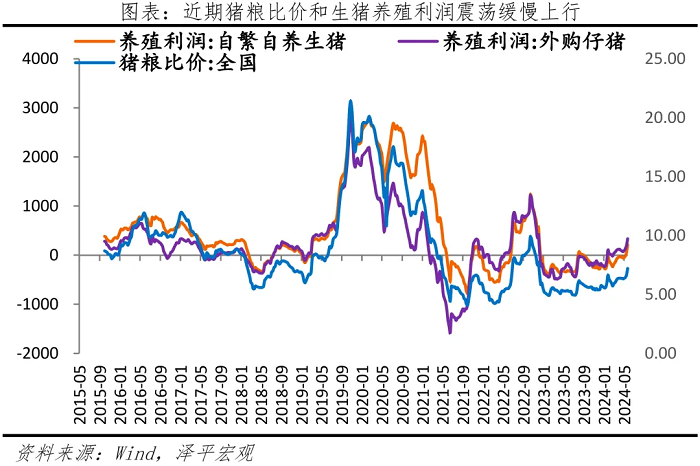 新一轮猪周期来了吗？