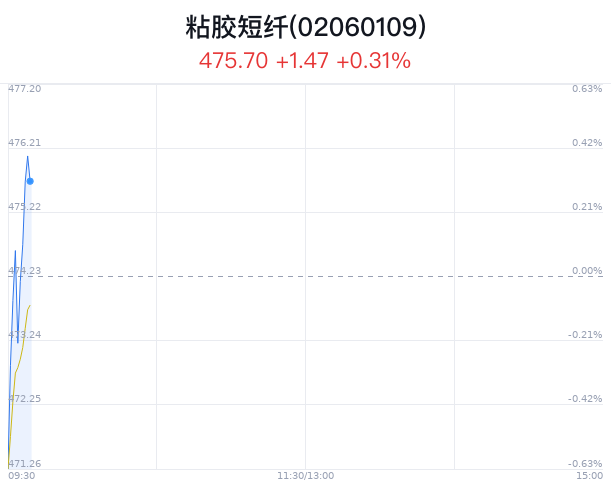 粘胶短纤概念盘中拉升，南京化纤涨4.54%