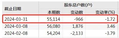 11万股东踩雷！又两家A股即将退市！  第6张