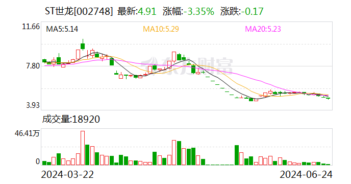 ST世龙时任总经理汪国清被深交所公开谴责处分