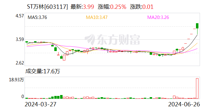 ST万林：实控人及部分董事等拟增持公司股份  第1张