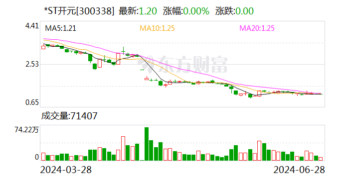 *ST开元：公司被债权人申请重整及预重整  第1张