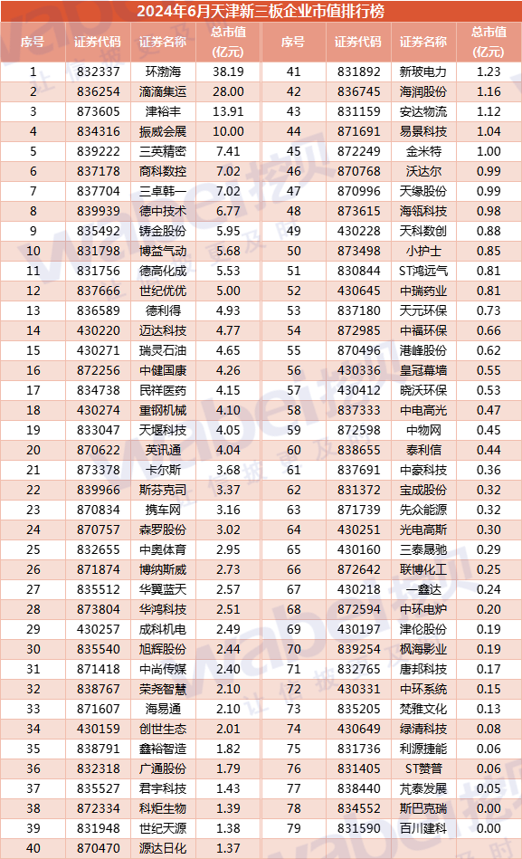 2024年6月天津新三板企业市值排行榜：13家企业去年净利润超3000万元