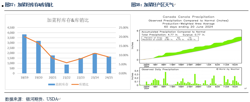 【粕类半年报】粕类市场驱动有限 交易主线或为预期差  第17张