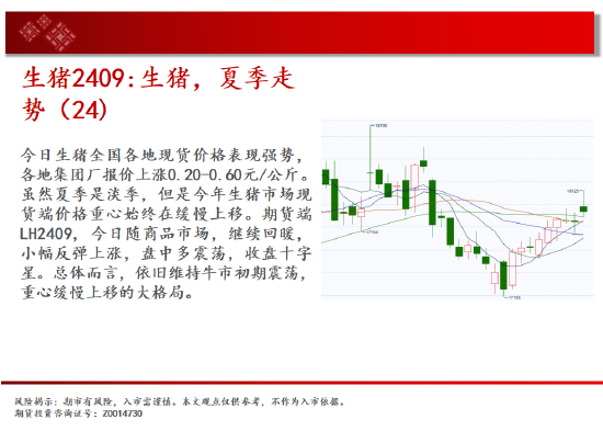 中天期货:玻璃继续下跌 纸浆继续下跌