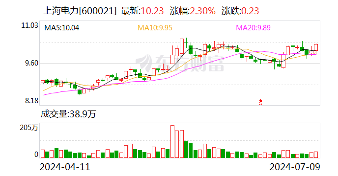 上海电力：上半年净利同比预增54.44%至83.76%  第1张