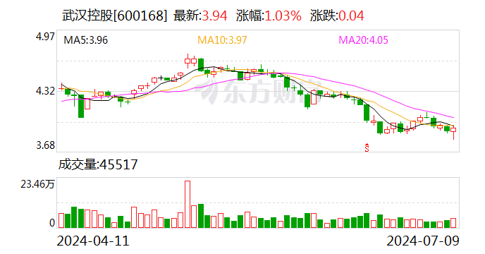 武汉控股：2024年上半年净利同比预降74.48%-82.89%  第1张