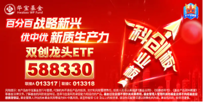 重要会议落幕，科技创新或可重点关注这两点！百分百布局战略新兴产业的双创龙头ETF（588330）机会来了？  第2张