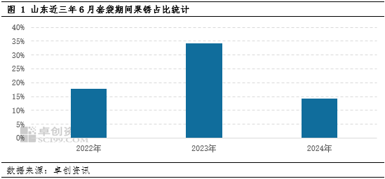 调研显示：2024年苹果套袋工作基本结束 今年产量或高于去年