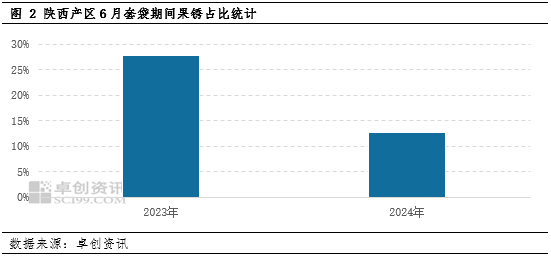 调研显示：2024年苹果套袋工作基本结束 今年产量或高于去年  第4张