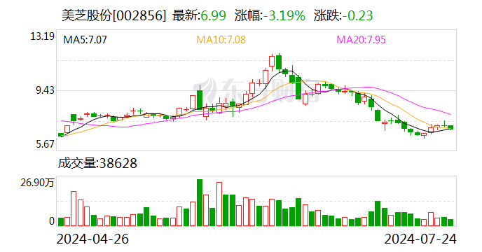 美芝股份：股东部分股份司法拍卖暂缓  第1张