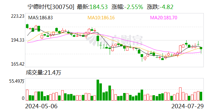 宁德时代现2笔大宗交易 总成交金额693.03万元  第1张