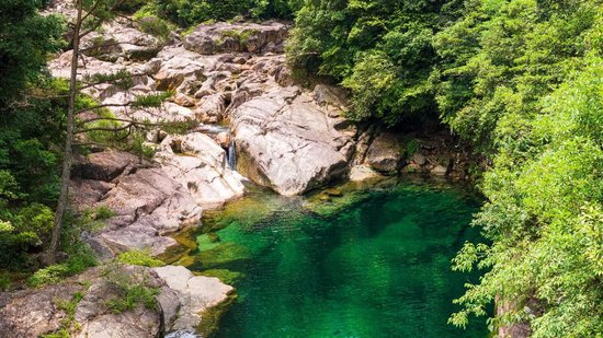 农夫山泉20年间在中国建成了12大水源地、30余座工厂  第1张