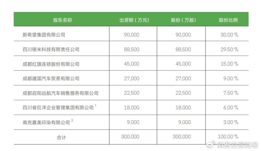 上半年净利润降逾6%背后：新网银行资本充足率下滑，3.6亿股权上拍卖  第5张