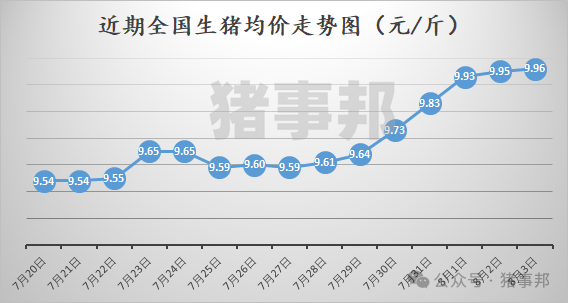 猪事邦||8月3日猪价汇总（全国均价为9.96元/斤！）