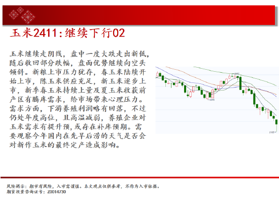 中天期货:反弹出现 低位震荡  第7张