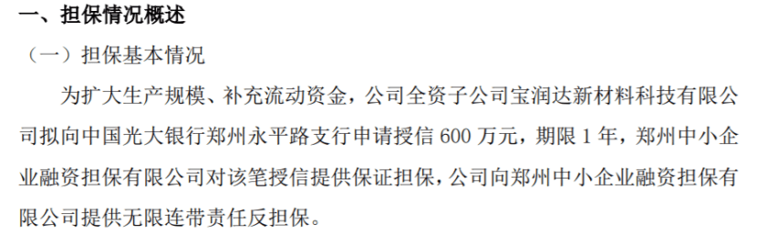 宝润达全资子公司拟向银行申请授信600万 郑州中小企业融资担保提供保证担保  第1张